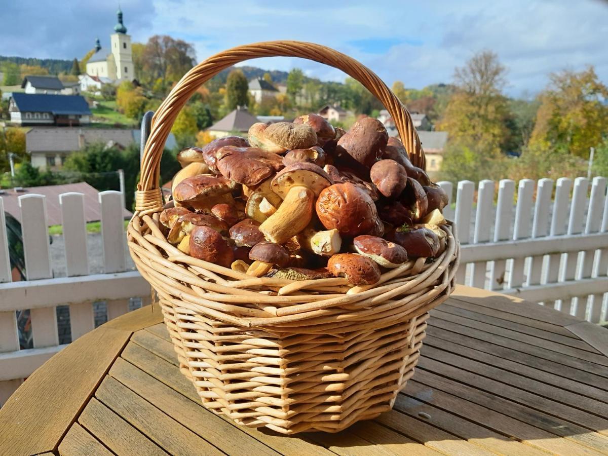 Pension Jana - Wellness Jilemnice Kültér fotó