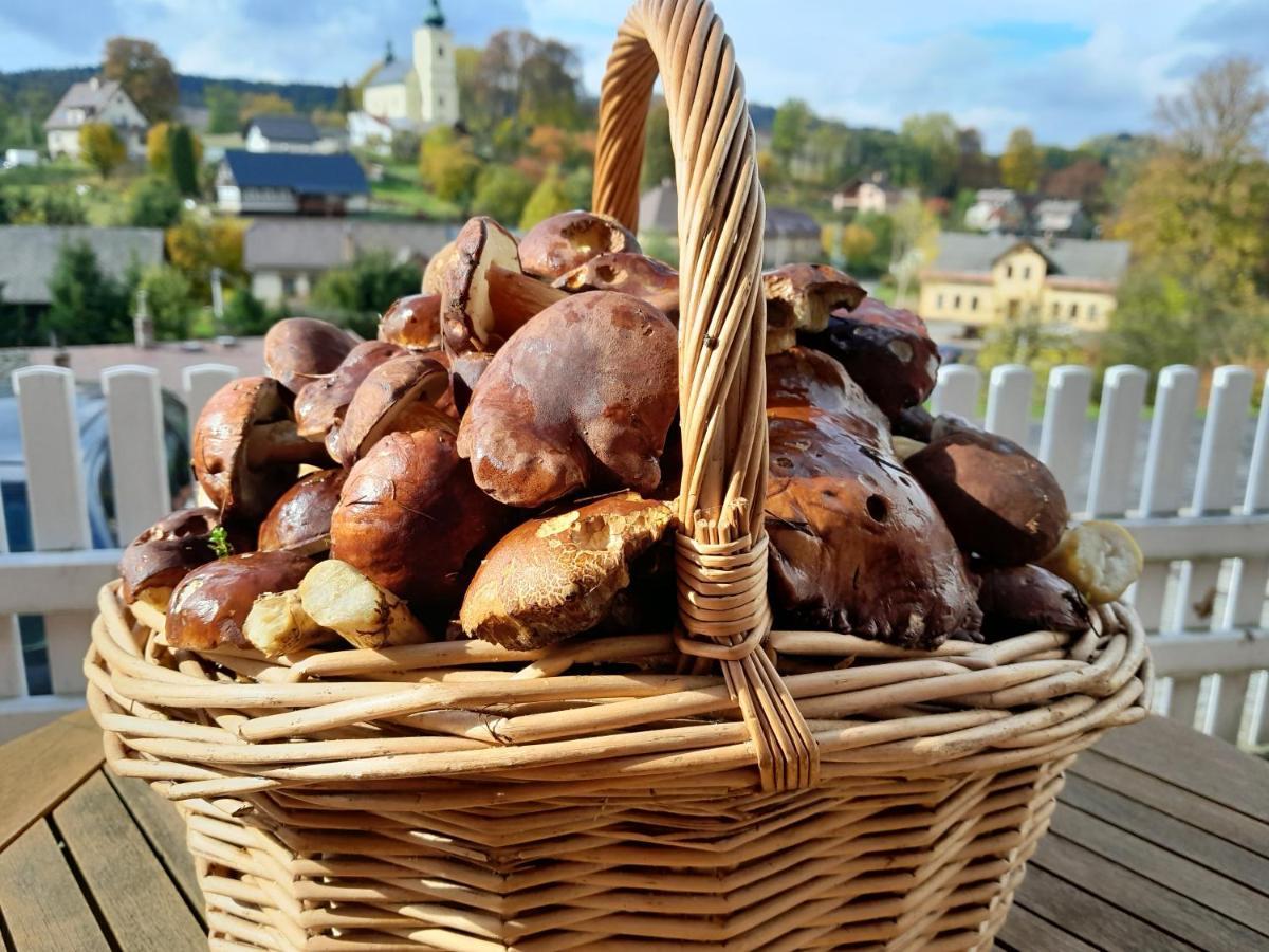 Pension Jana - Wellness Jilemnice Kültér fotó